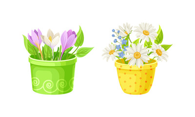 Flowerpot with Flowering Meadow Plant and Blooming Flora Bouquet Vector Set