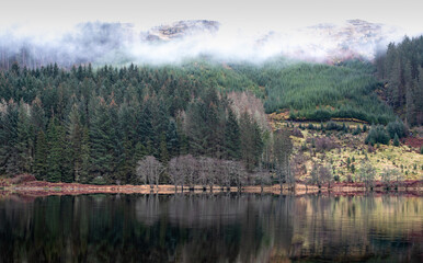 Obraz premium Tree reflections on Scottish Loch 