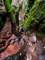 The Devils Pulpit, Finnich Glen, Scotland - Waterfall & stream flowing between towering rock formations, accessed by a steep stone staircase.