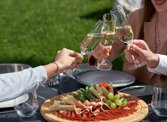 Snack for guests. A plate of cheese, salami, nuts, grapes and snacks on a tray.