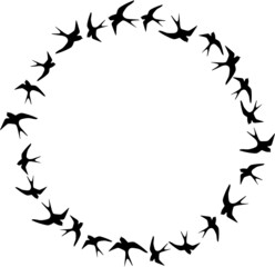 Cute round frame with black birds.cdr