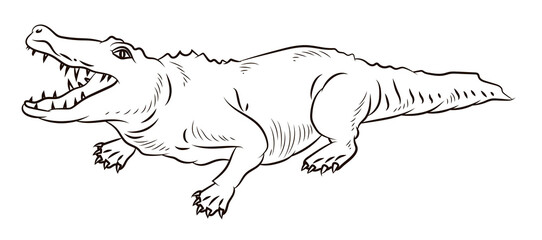 Crocodile, Black and white, for children's coloring pages.