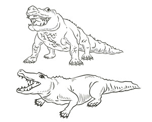 Vector image of a crocodile. Black and white drawing coloring book for children. Emblem.