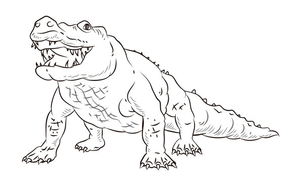 Crocodile, Black and white, for children's coloring pages.