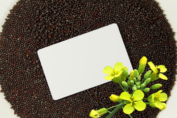 brown mustard seeds spice or rai with mustard plant flower and card as food,health,garden related background - obrazy, fototapety, plakaty