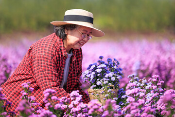 Senior woman in beautiful flower garden