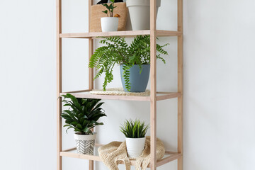 Shelving unit with houseplants near light wall