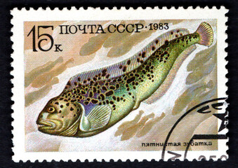 stamp sea collection printed in USSR shows catfish family Spotted catfish