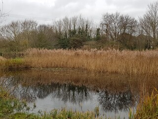 Obraz premium Pond in winter, East town park, Haverhill