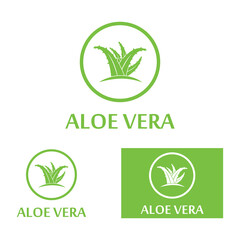 Aloe vera icon logo vector illustration template design