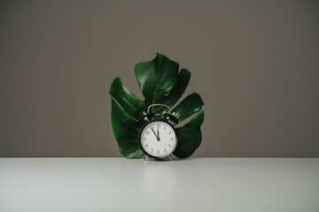 Black alarm clock and tropical palm leaf