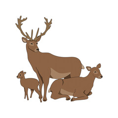 A family of siberian reindeer relaxes in nature