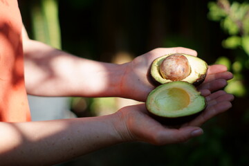 The avocado is ripe and the seeds can be planted.