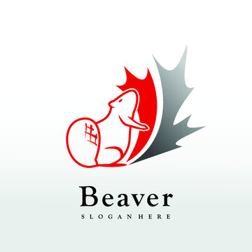 Canadian Beaver logo design ideas. illustration maple leafs canadian icon