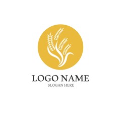 Wheat logo vector icon illustration