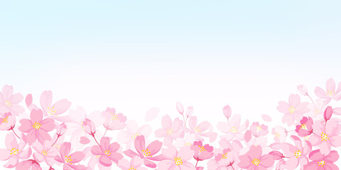 桜の花イラスト背景素材　青空の背景にコピースペース