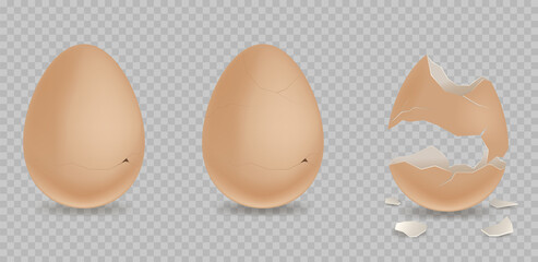 Cracked egg. Cartoon 3d realistic chicken broken eggs with cracks and smithers. Egg realistic Illustration