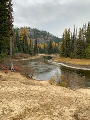 Fototapeta na wymiar autumn river stream in forest