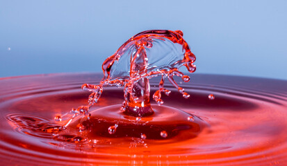 water drop splash