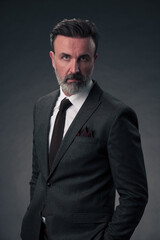 Portrait of a stylish elegant senior businessman with a beard and casual business clothes in photo studio isolated on dark background gesturing with hands