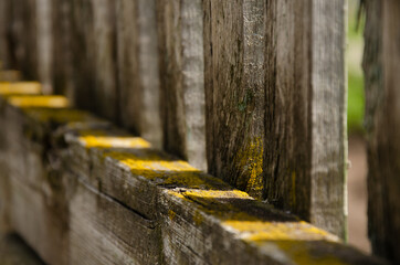 Abstract background. Old wooden fence. The sun's rays break through the wooden beams. Moss surface texture on wood with copy space.