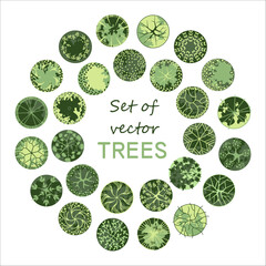Trees for the master plan. Tree for architectural floor plans. Entourage design. Various trees, bushes, and shrubs, top view for the landscape design plan. Vector illustration.