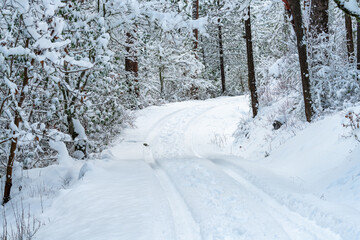 Snow Covered Road