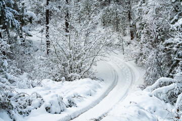 Snow Covered Road