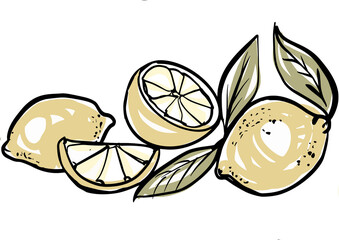 Seamless pattern of lemon illustration of various shapes 