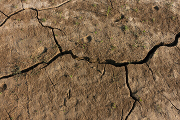 crack in the mud