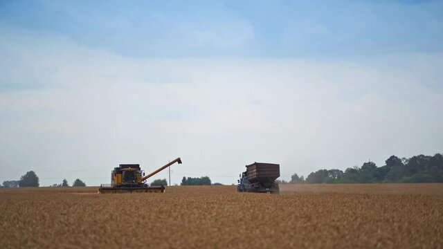 Yellow harvester machine stopped in the field and combiner examining it from outside. Tractor approaching the harvester to upload the crops.