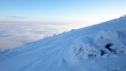 Fully covered with snow tree on top of the mountain.