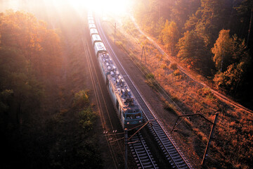 A freight train loaded with resources delivers cargo through the forest.