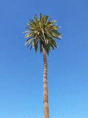 Obraz premium Vega Baja del Segura - Orihuela - Paisajes de la sierra, la huerta y sus detalles.