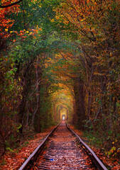 Fototapeta na wymiar Railway in the woods. Tunnel of love. Autumn landscape.