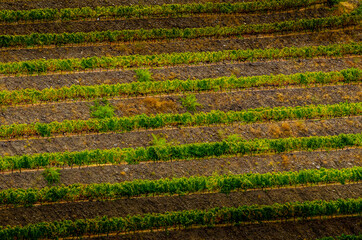 Reportage Portugal