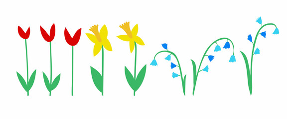 Spring primroses. Narcissuses, tulips, lilies of the valley. Vector set of colors. The elements are isolated on a white background.