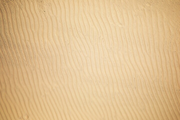 Sand yellow dune texture. Abstract natural background.