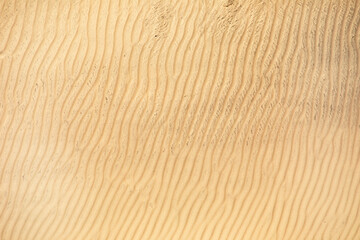 Fototapeta na wymiar Sand dune texture. Abstract natural background.