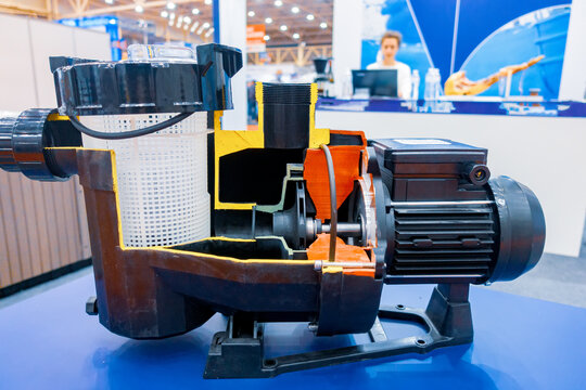 Swimming pool circulation pump with prefilter, coarse filter. Sectional view of the pump.