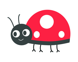 cute ladybird illustration. small animal creature drawing for any element decoration. a creative artwork in a vector graphic.