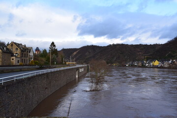 Moselhochwasser mit freier Hauptstraße im Bereich Oberburg Kobern-Gondorf, Baum im Wasser