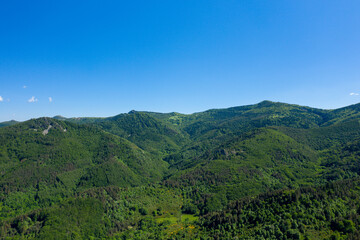 The immense forests of the Ardeche countryside in Europe, France, Ardeche, in summer, on a sunny day.