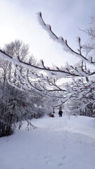 Winter and Snow
