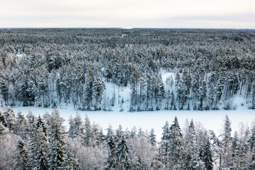 Frozen lake Kaitalampi during winter from drone perspective, Luukki Espoo, Vihti, Finland