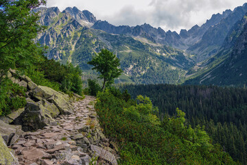 Fototapeta na wymiar Beautiful summer landscape of High Tatras, Slovakia - famous track to Poprad Lake - stone footpath over the cliff, lush forest, mountains and clouds on the sky