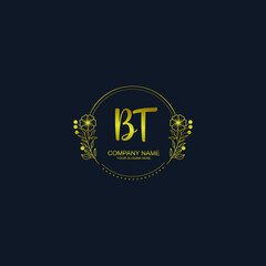 BT initial hand drawn wedding monogram logos