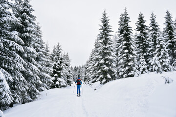 Skitury, skituring, zimowe wędrówki górskie na nartach do skituringu, piękna biała zima w...
