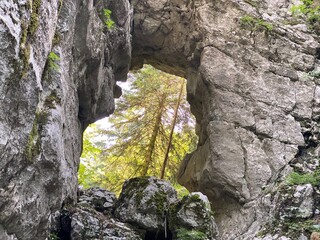 Hell's door in the forest park Golubinjak, Sleme - Gorski kotar, Croatia (Paklena vrata u park šumi Golubinjak, Sleme - Gorski kotar, Hrvatska)