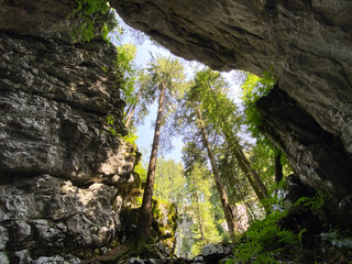 Pigeon cave in the forest park Golubinjak, Sleme - Gorski kotar, Croatia (Golubinja spilja u park šumi Golubinjak, Sleme - Gorski kotar, Hrvatska)
